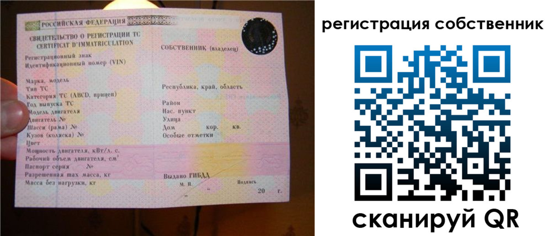 прописка иностранных граждан в Тайге